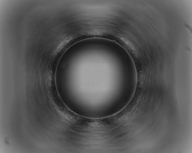 X0000092110544200709121620