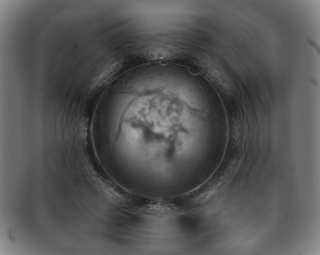 X0000092110545200709121620