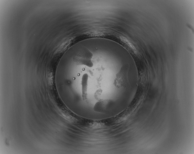 X0000092110549200709121620