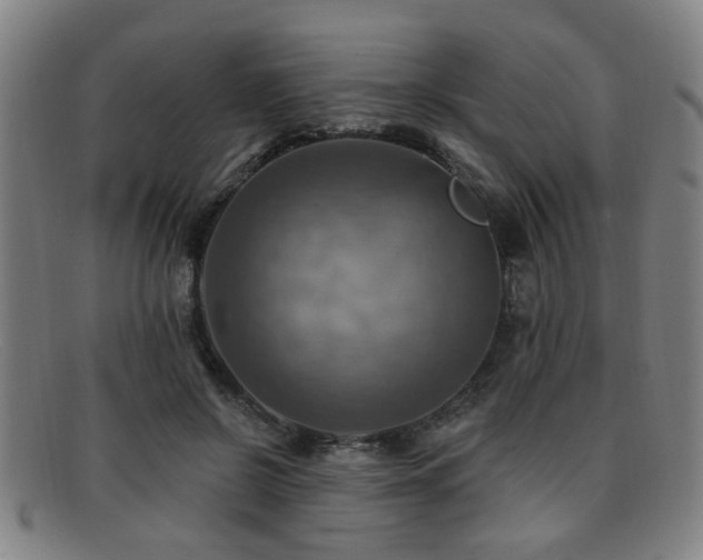 X0000092110550200709121620