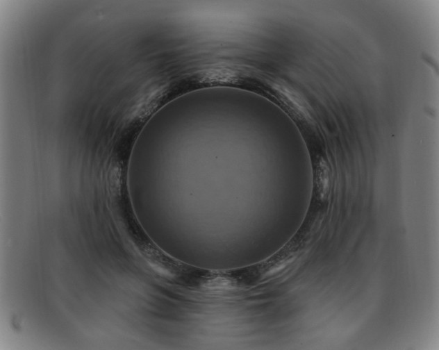 X0000092110551200709121620