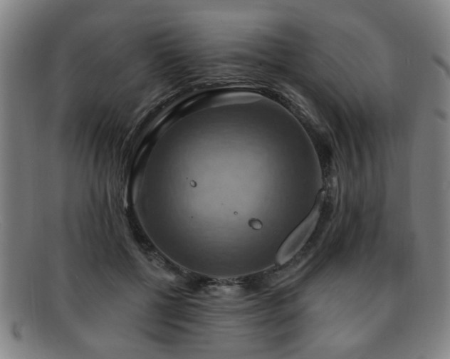 X0000092110552200709121620