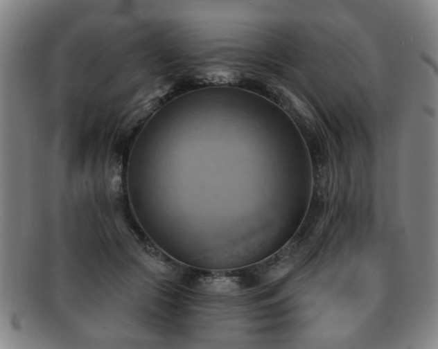 X0000092110553200709121620