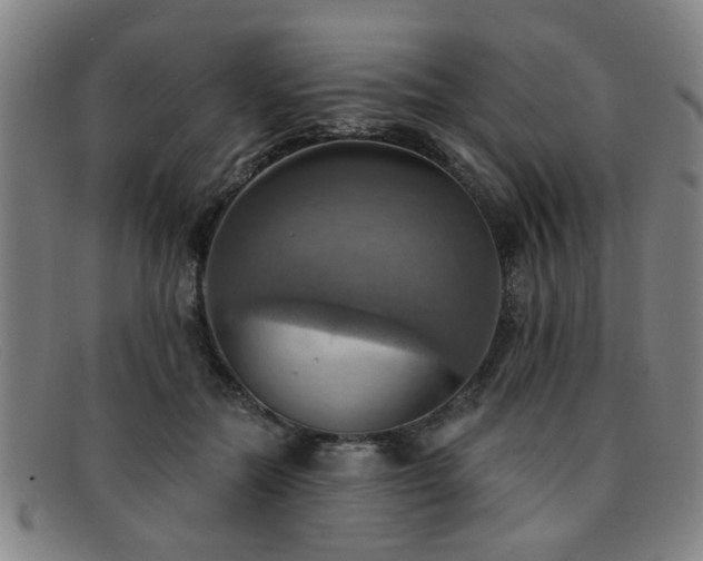 X0000092110554200709121620