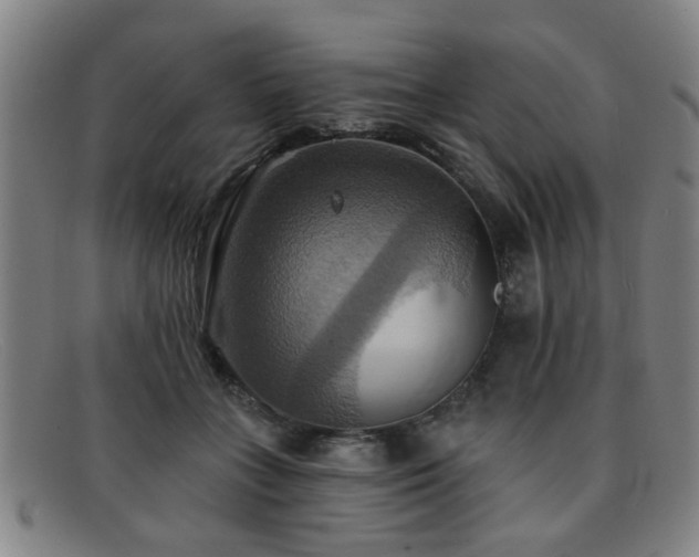 X0000092110555200709121620