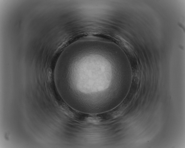 X0000092110556200709121620