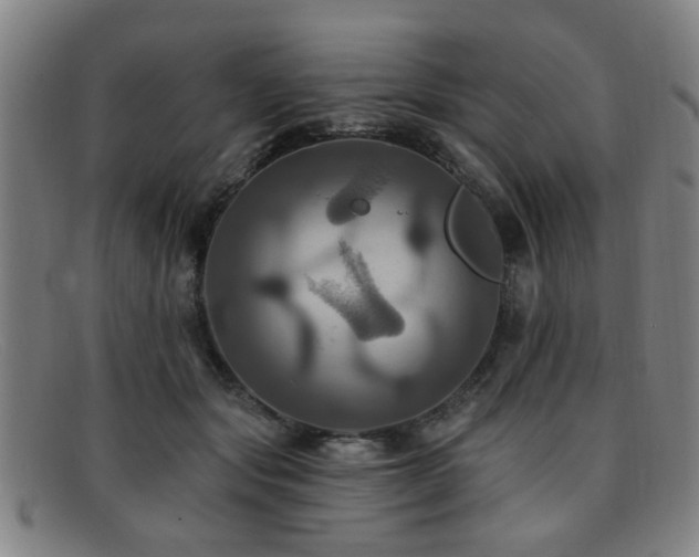 X0000092110557200709121620