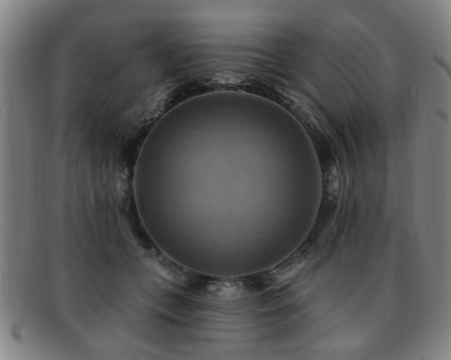 X0000092110559200709121620