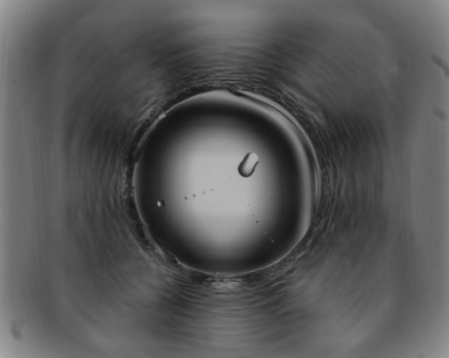 X0000092110560200709121620