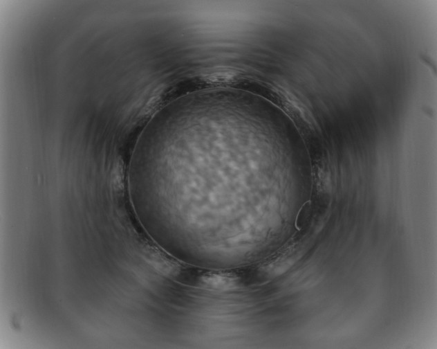 X0000092110561200709121620