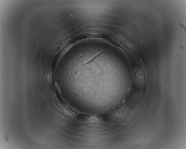 X0000092110562200709121620