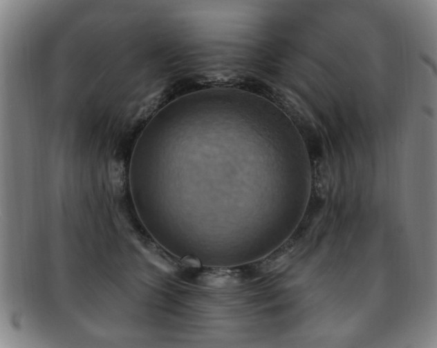 X0000092110563200709121620