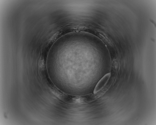 X0000092110564200709121620