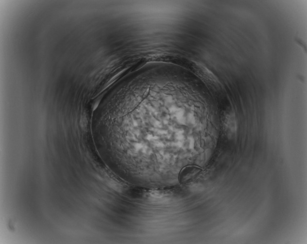 X0000092110565200709121620