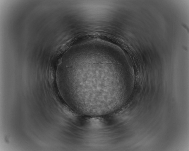 X0000092110566200709121620