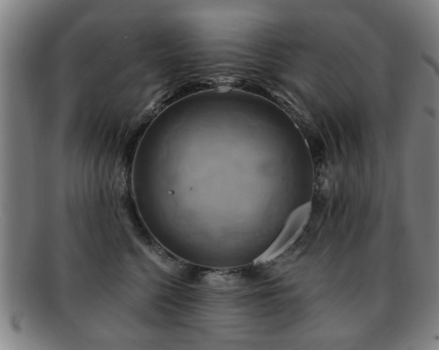 X0000092110568200709121620