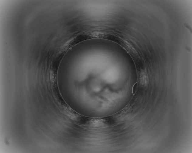 X0000092110569200709121620