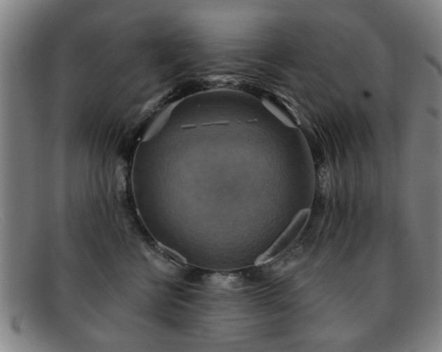 X0000092110570200709121620