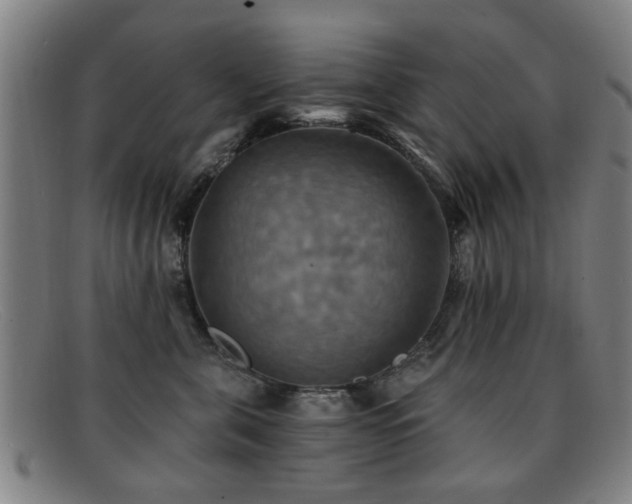 X0000092110571200709121620