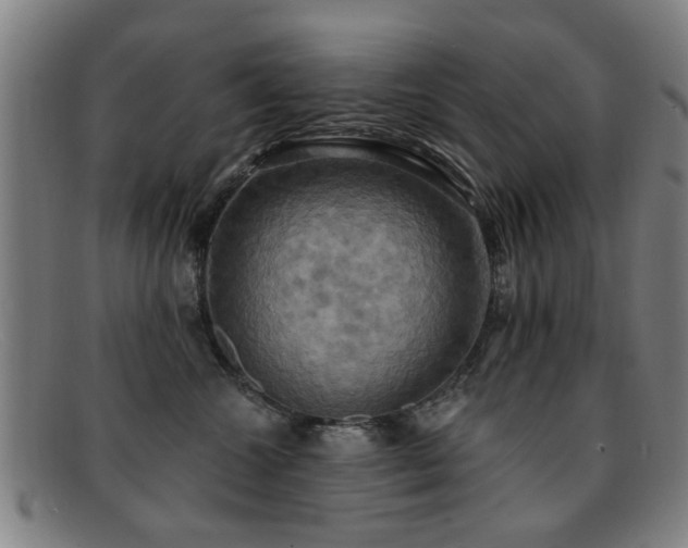 X0000092110572200709121620