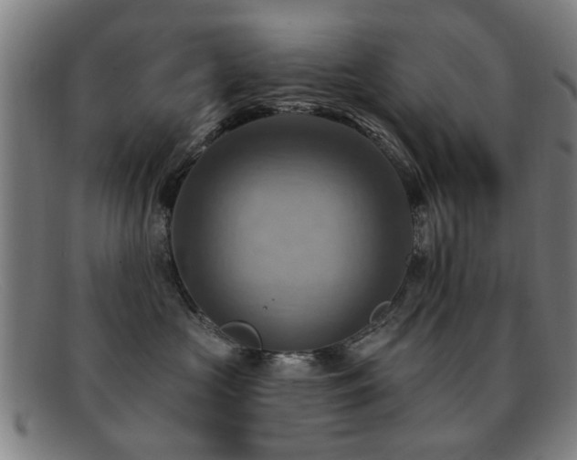 X0000092110573200709121620