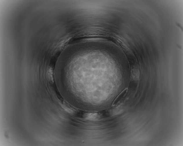 X0000092110575200709121620