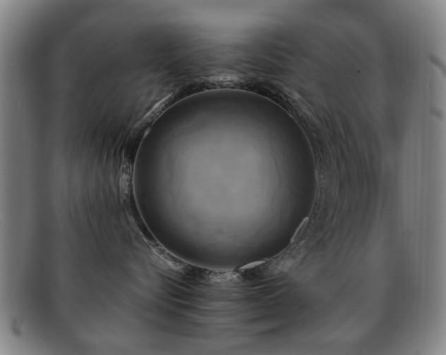 X0000092110576200709121620