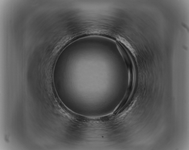 X0000092110577200709121620