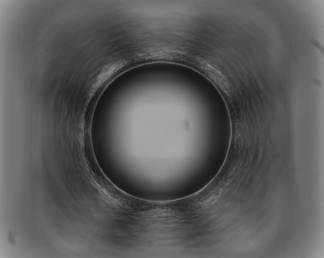 X0000092110578200709121620