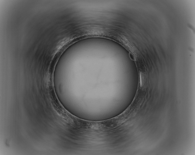 X0000092110579200709121620