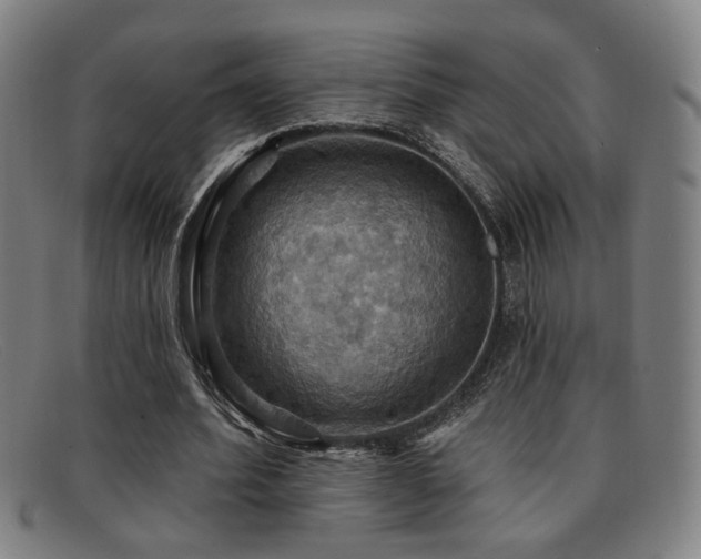 X0000092110580200709121620