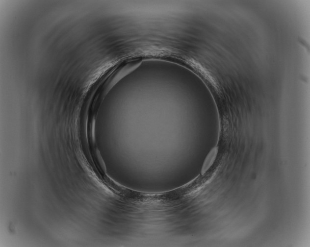 X0000092110581200709121620