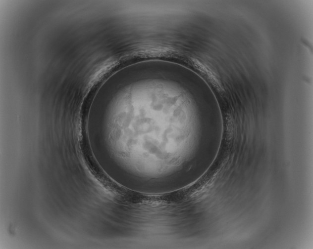 X0000092110582200709121620