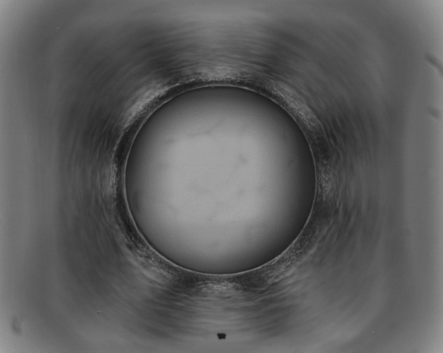 X0000092110583200709121620