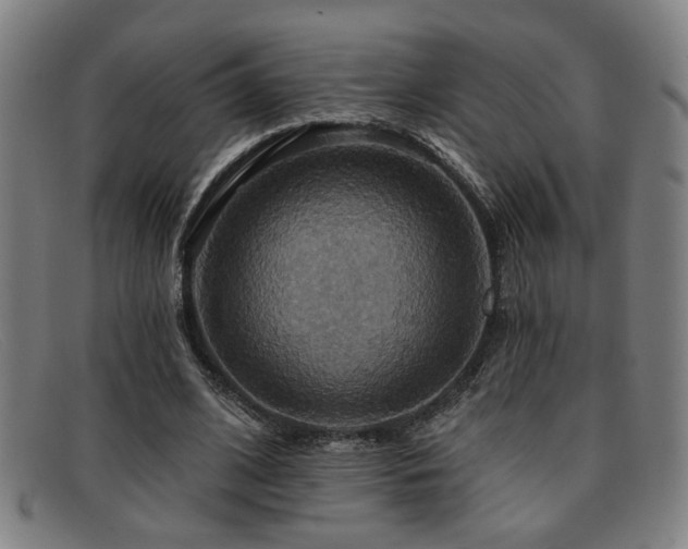 X0000092110584200709121620