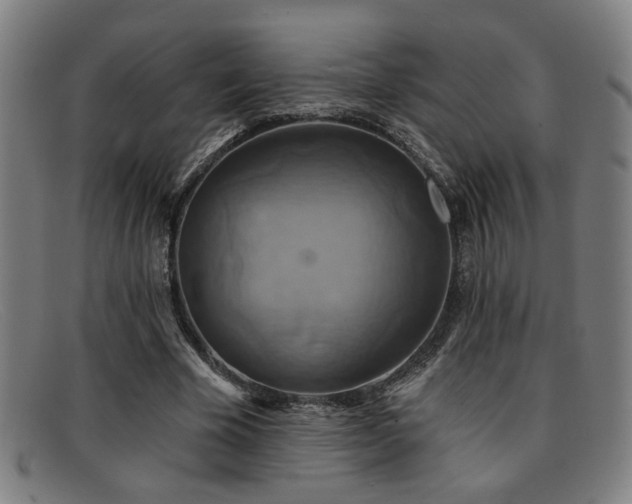 X0000092110585200709121620