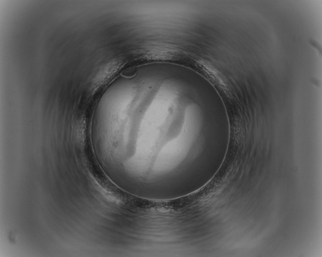 X0000092110586200709121620