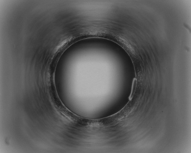 X0000092110587200709121620