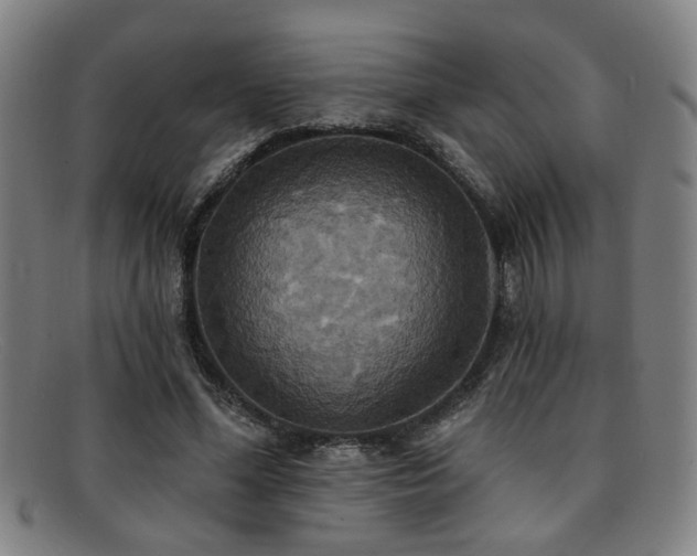 X0000092110588200709121620