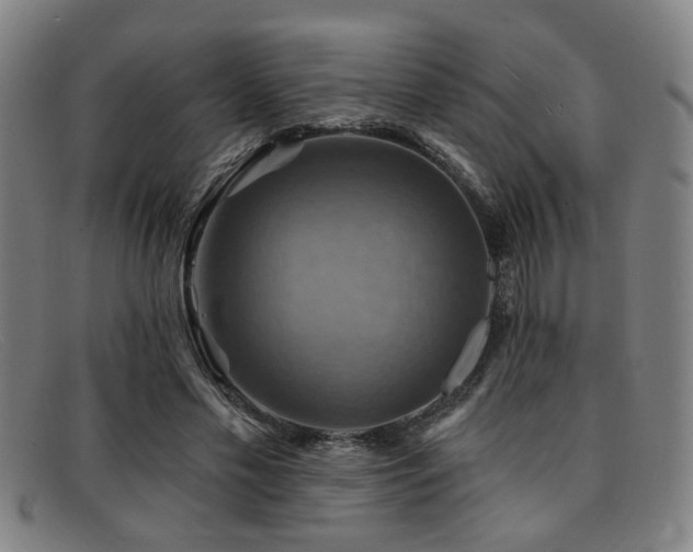 X0000092110589200709121620