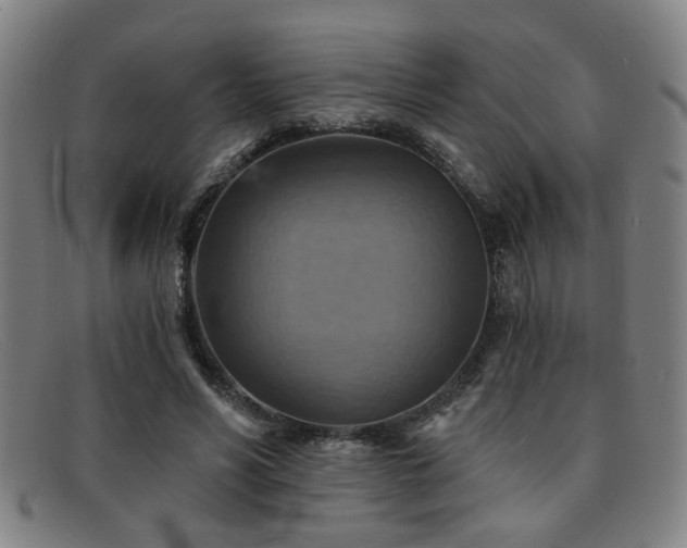 X0000092110590200709121620