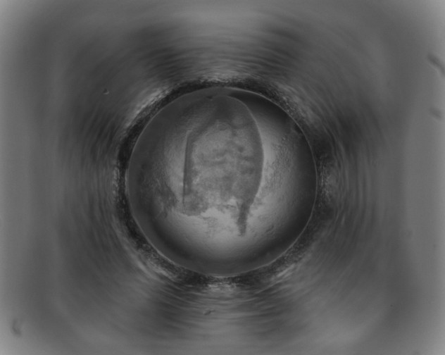 X0000092110591200709121620