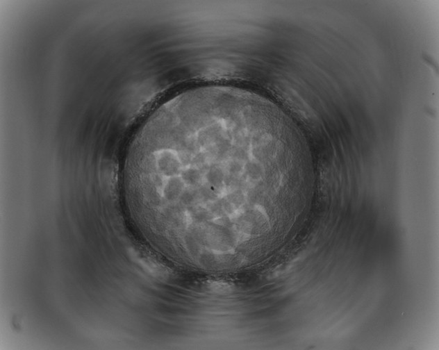 X0000092110592200709121620