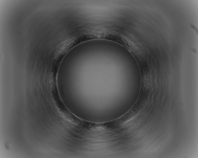 X0000092110594200709121620