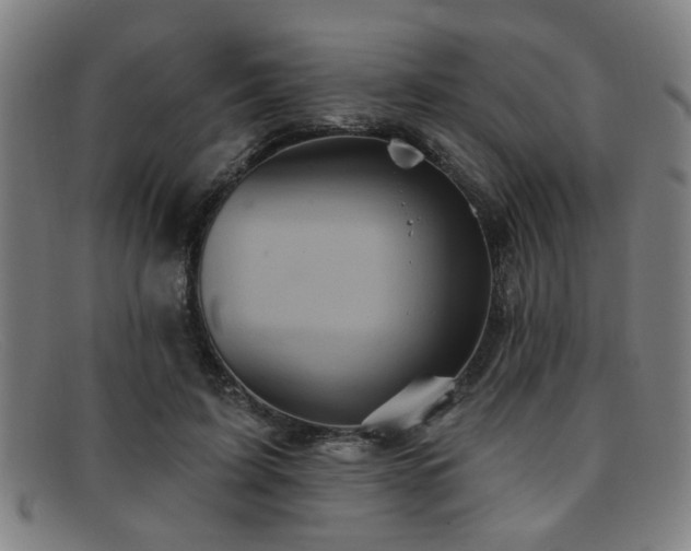 X0000092110595200709121620