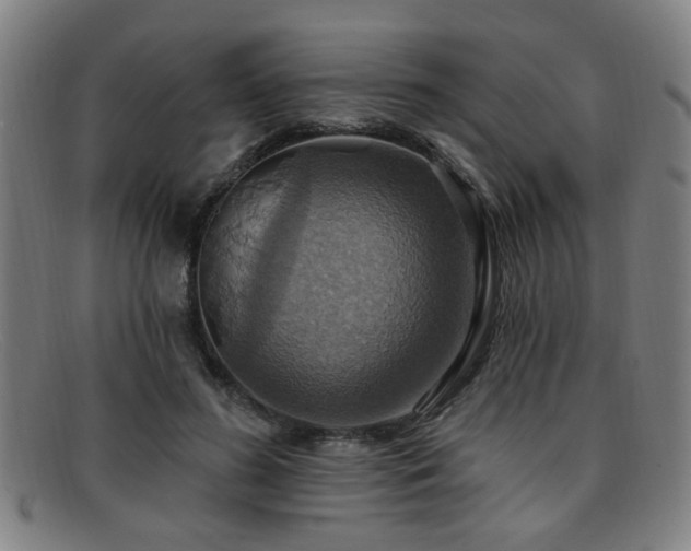 X0000092110596200709121620