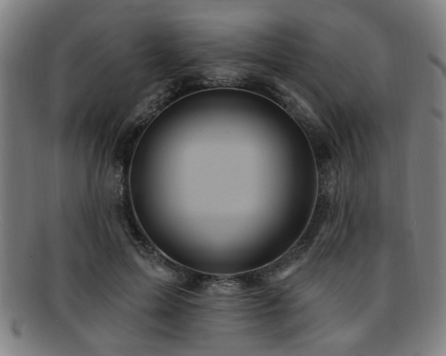 X0000092110599200709121619