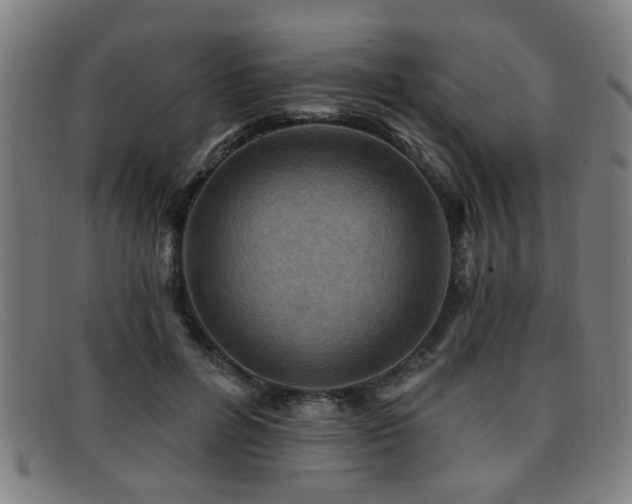 X0000092110600200709121619