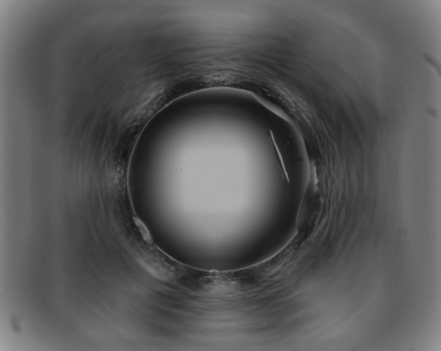 X0000092110601200709121619