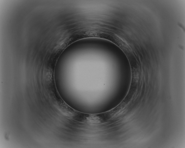 X0000092110603200709121619